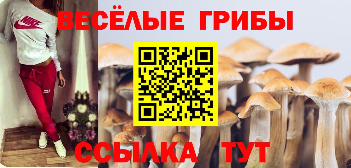 Галлюциногенные грибы мухоморы  Галлюциногенные грибы MAGIC MUSHROOMS  Вход с VPN  Чапаевск 